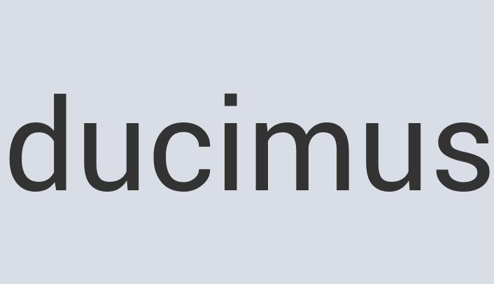 Durable Wool Trackers