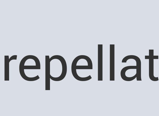 Aerodynamic Leather Doggie Dreams